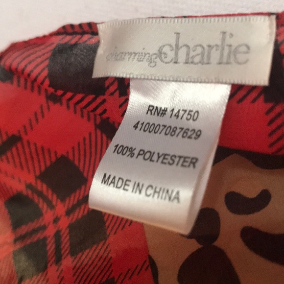 Charming Charlie scarf - Picture 4 of 4